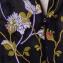 ジャンバティスタ ヴァリ (Giambattista Valli) ノースリーブドレス チュール刺繍レース ブラック